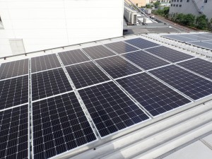 ソーラーパネル設置しました